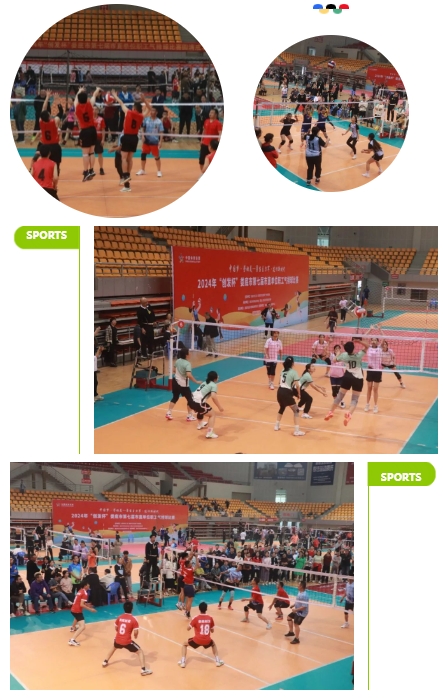 微信截图_20241031095510.jpg