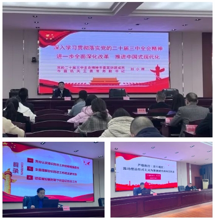 微信截图_20241220164950.jpg